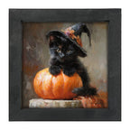 Black Kitten with Pumpkin