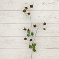 31" Wild Blackberry - Single Stem Faux Flower