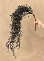 Spanish Moss Black