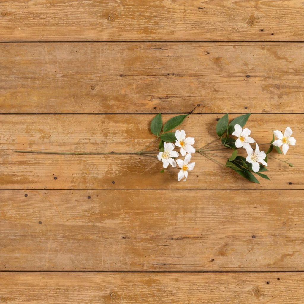 32.5" White Clematis Florida Spray