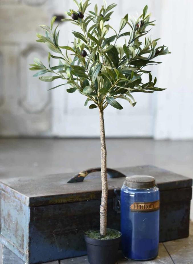32" Potted Olive Tree