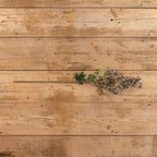 34" Purple Winter Daphne Spray Floral Decor