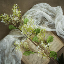 34" White Winter Daphne Spray Floral Decor