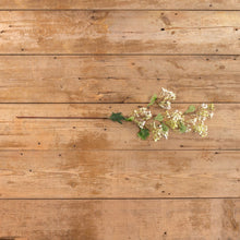 34" White Winter Daphne Spray Floral Decor