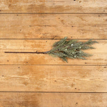32" Frosted Eastern Red Cedar Spray