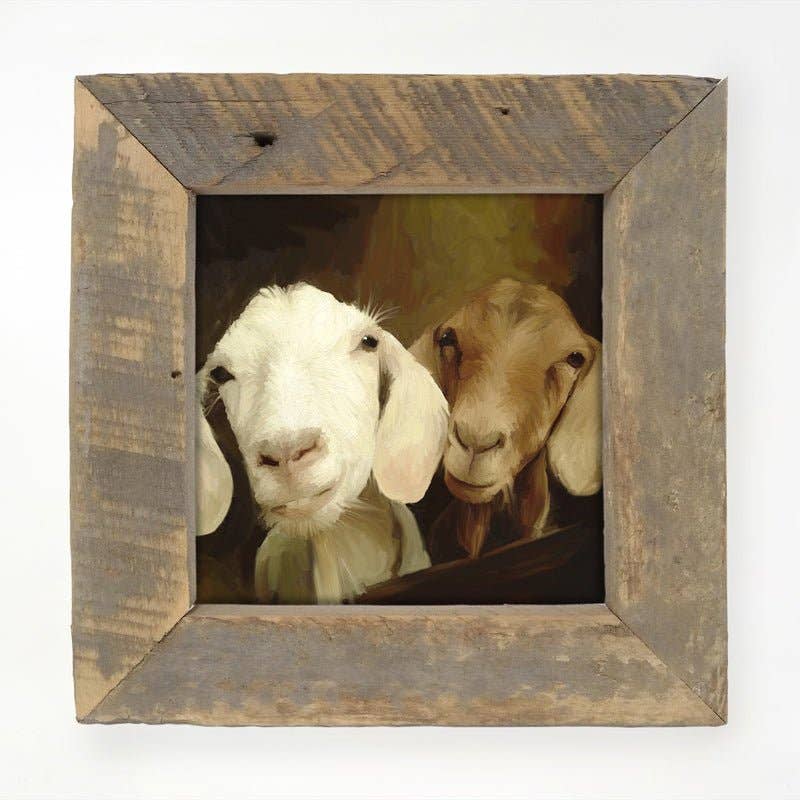 Two goat friends