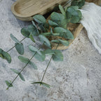 39" Green Eucalyptus Spray