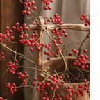 Mini Fruit Berry Stem 30"