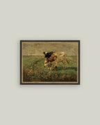Black and Brown Cows Framed Antique Art