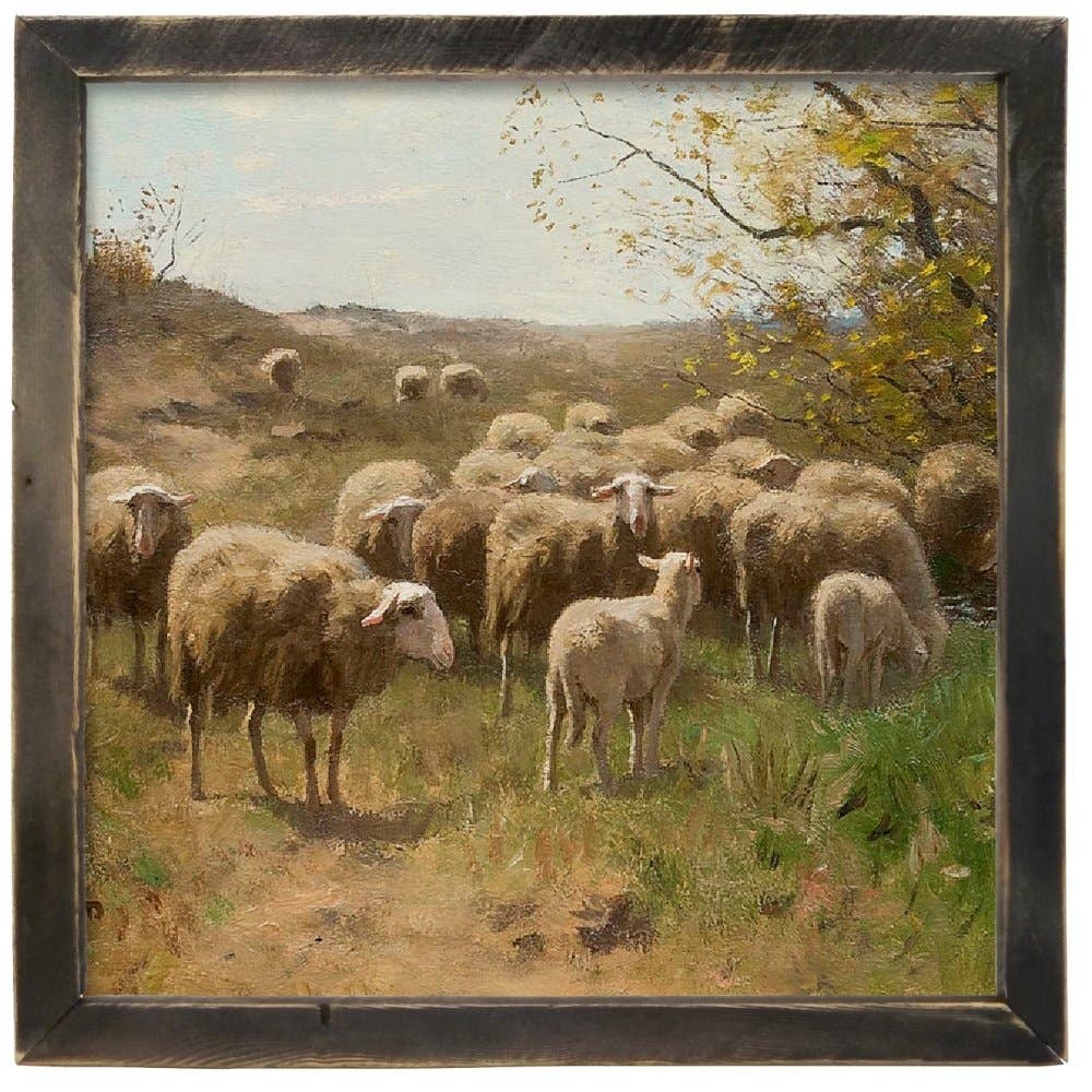 Vintage Grazing Sheep