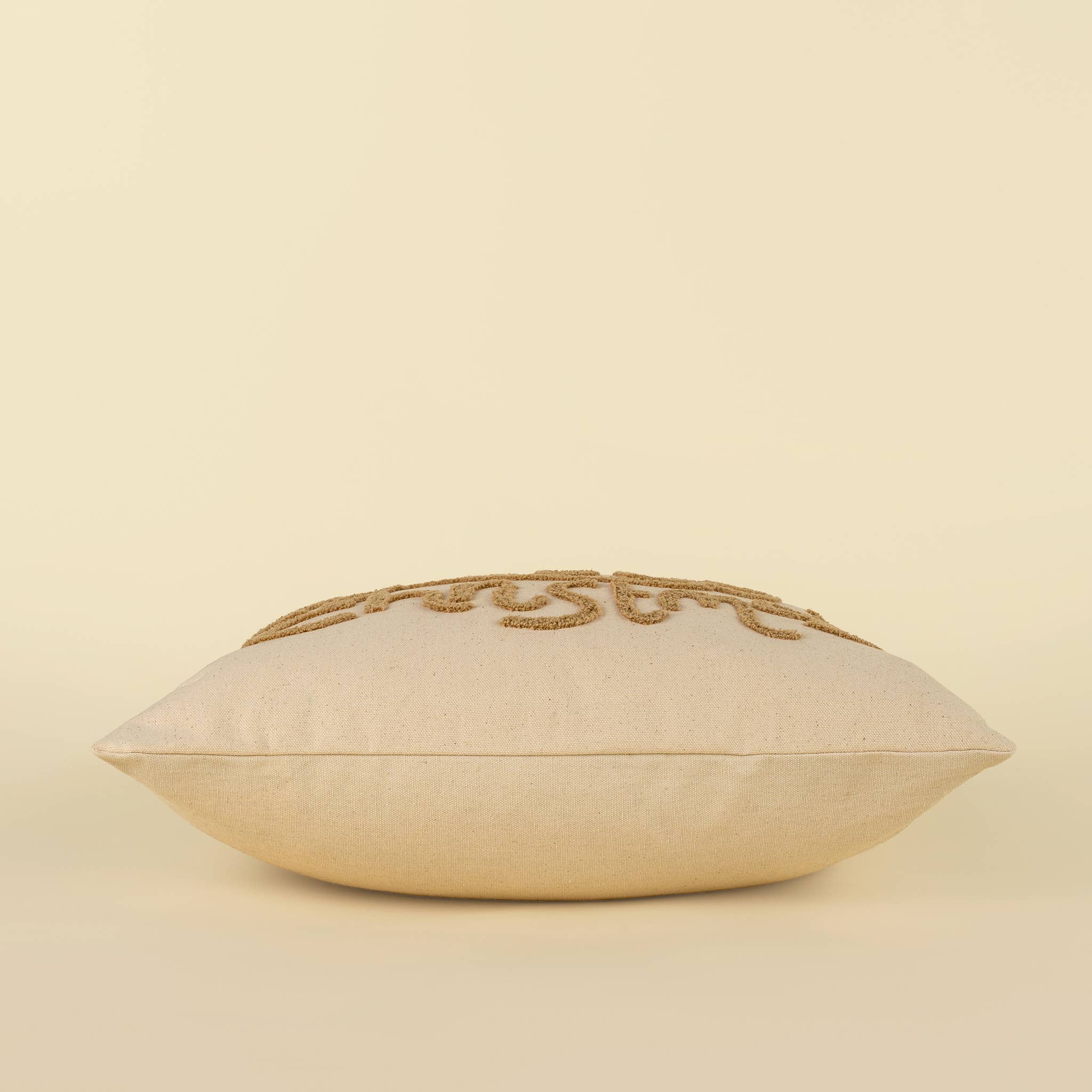 20x20 Jolly Christmas Pillow