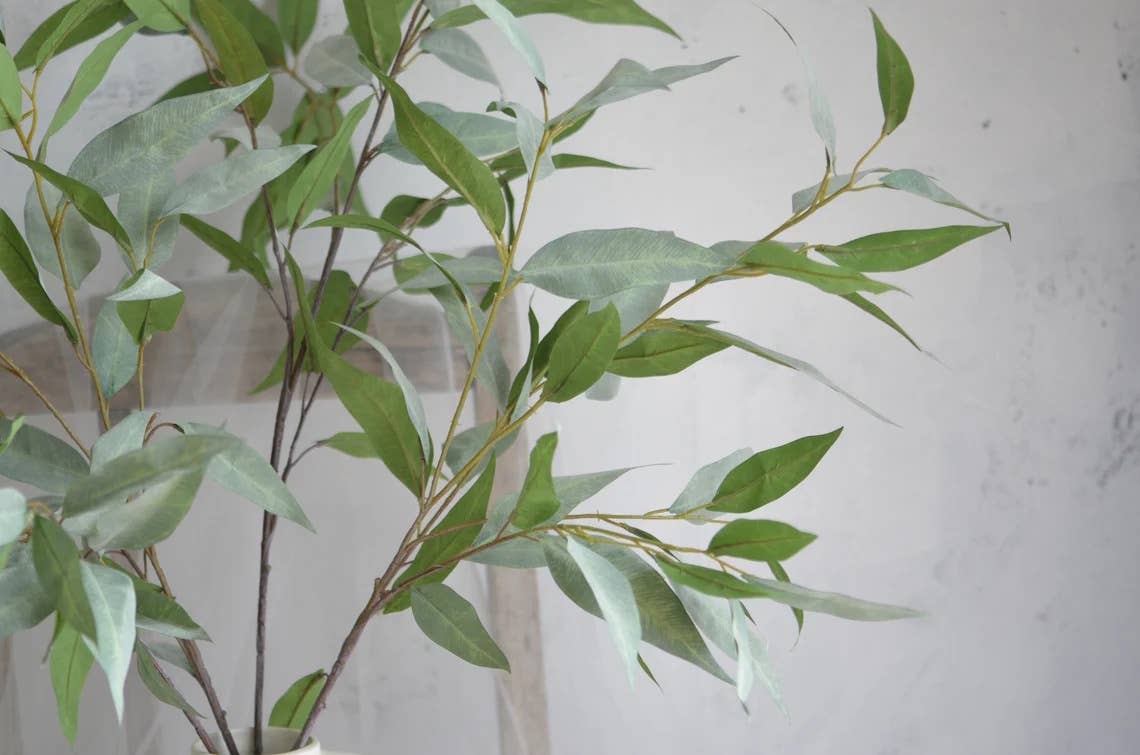41" Frosty Eucalyptus-Lush or Frosty
