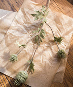 Thistle Stem 26"