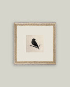 Crow Framed