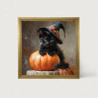 Black Kitten with Pumpkin