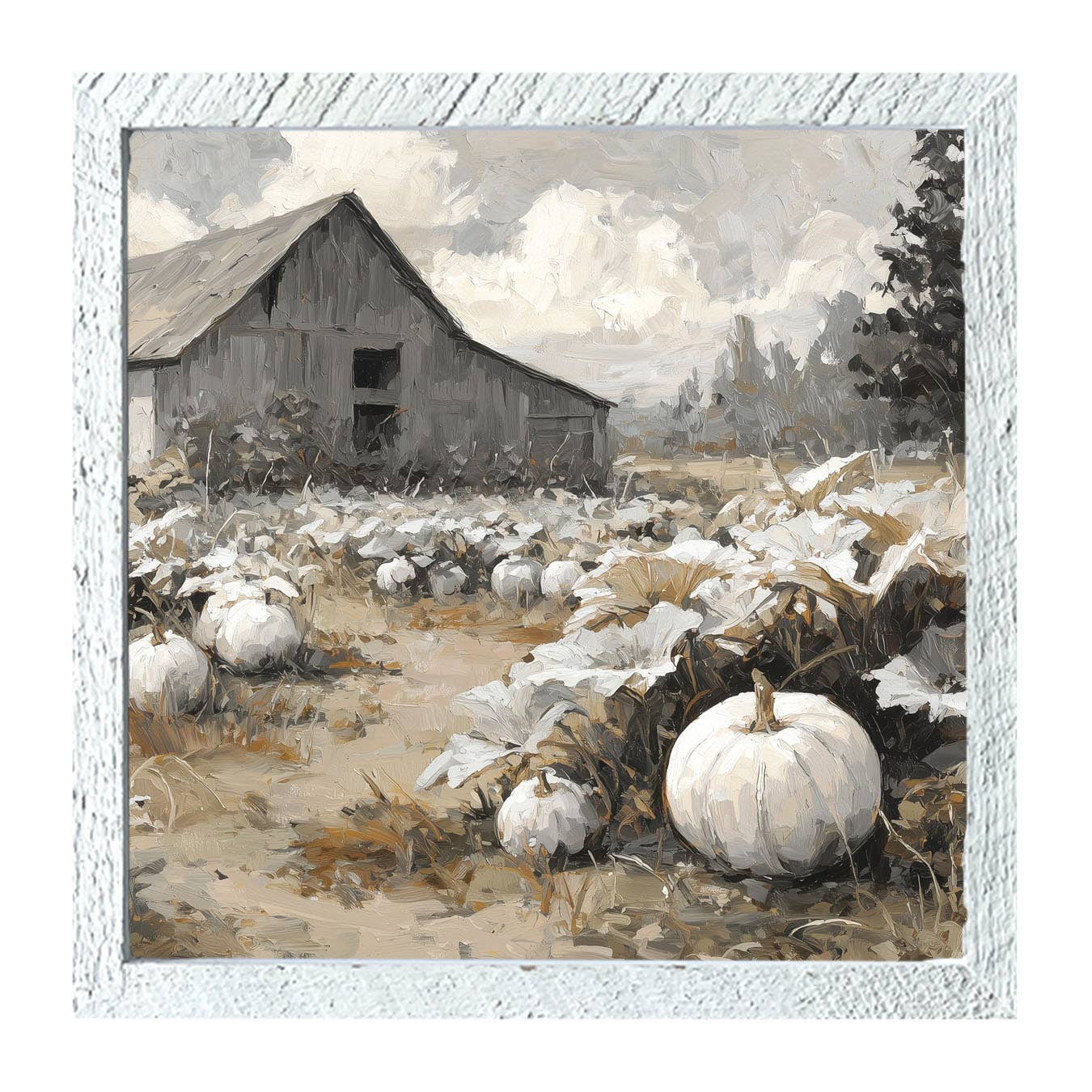 White Pumpkins in Field