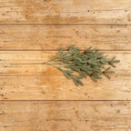 40.5" California Red Fir Spray