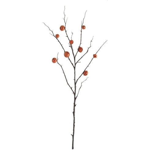 Jack O Lantern Pumpkin Stem