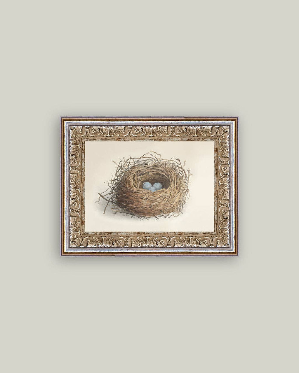 Blue Eggs in a Nest Framed Antique Art