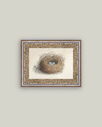 Blue Eggs in a Nest Framed Antique Art