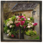 Cottage With Hydrangeas