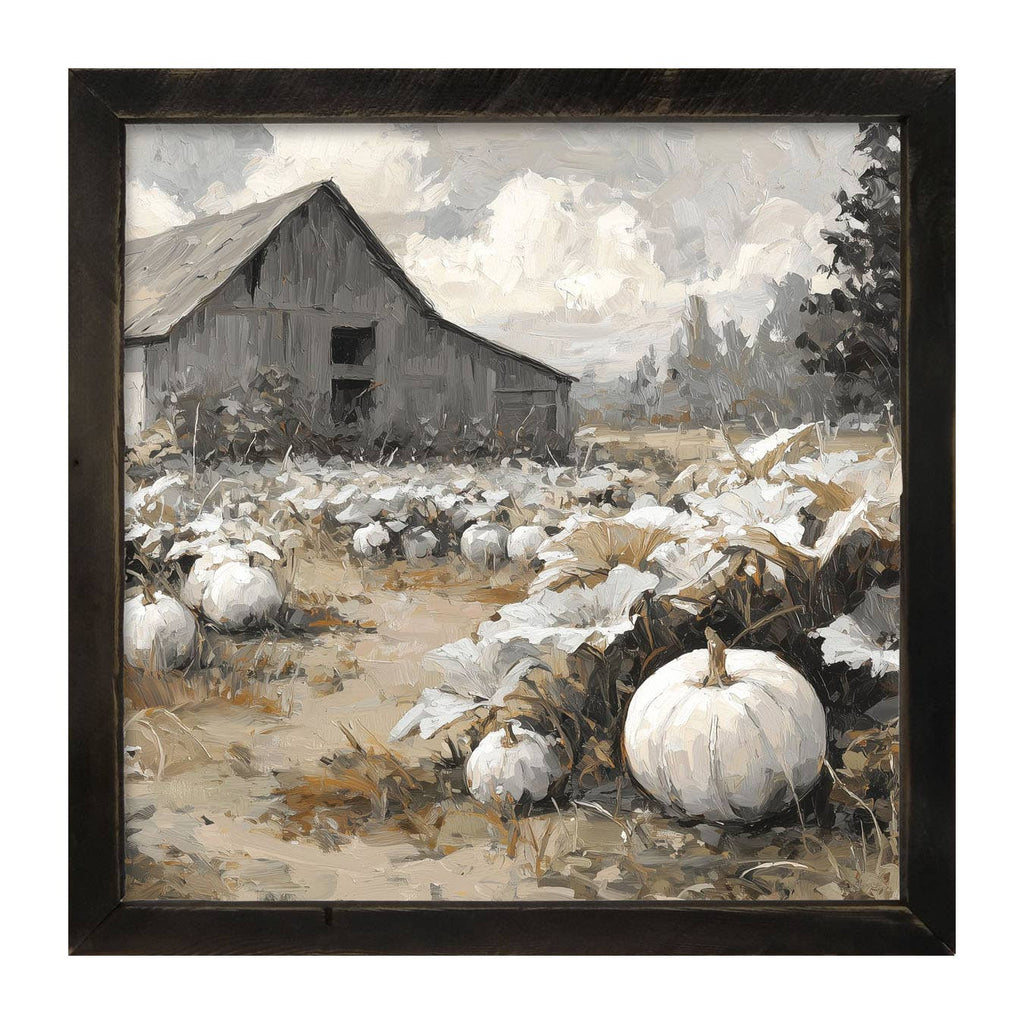 White Pumpkins in Field