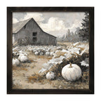 White Pumpkins in Field