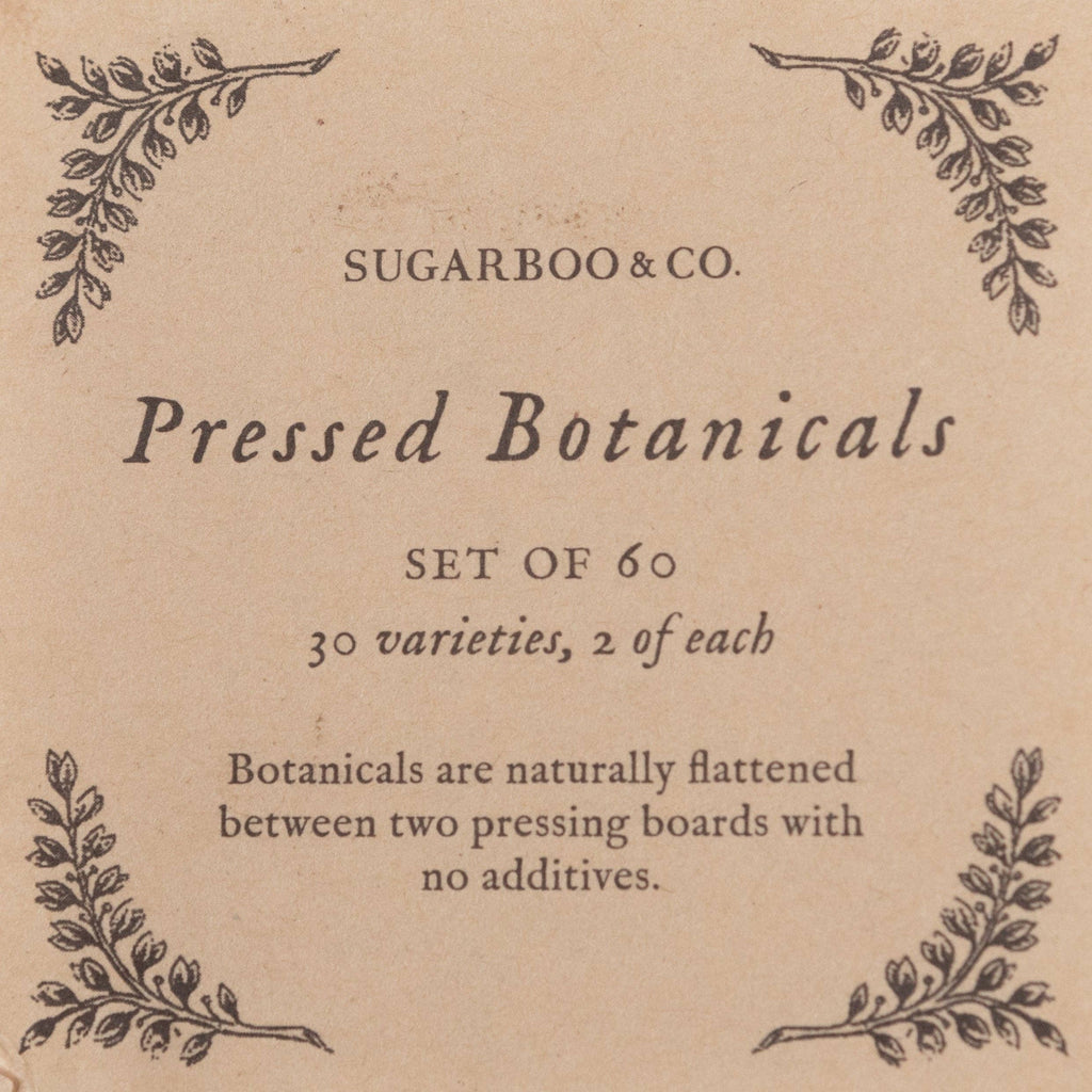 Pressed Botanical Collection - Assorted