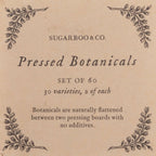 Pressed Botanical Collection - Assorted