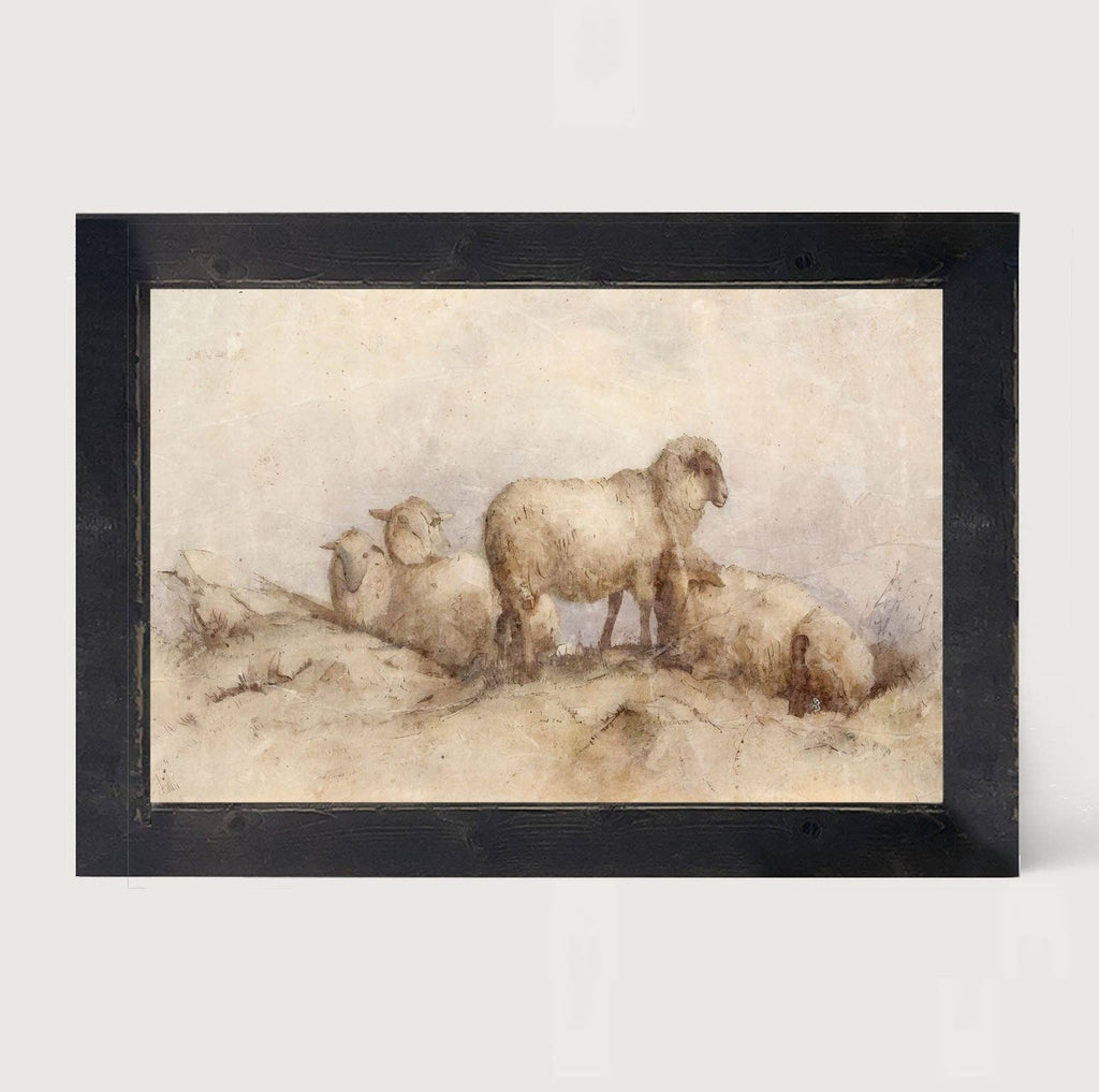 Peaceful sheep - HF