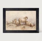 Peaceful sheep - HF