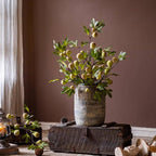 Wild Garden Faux Fig Stem 35.4"