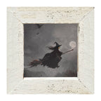 Moonlit Witch