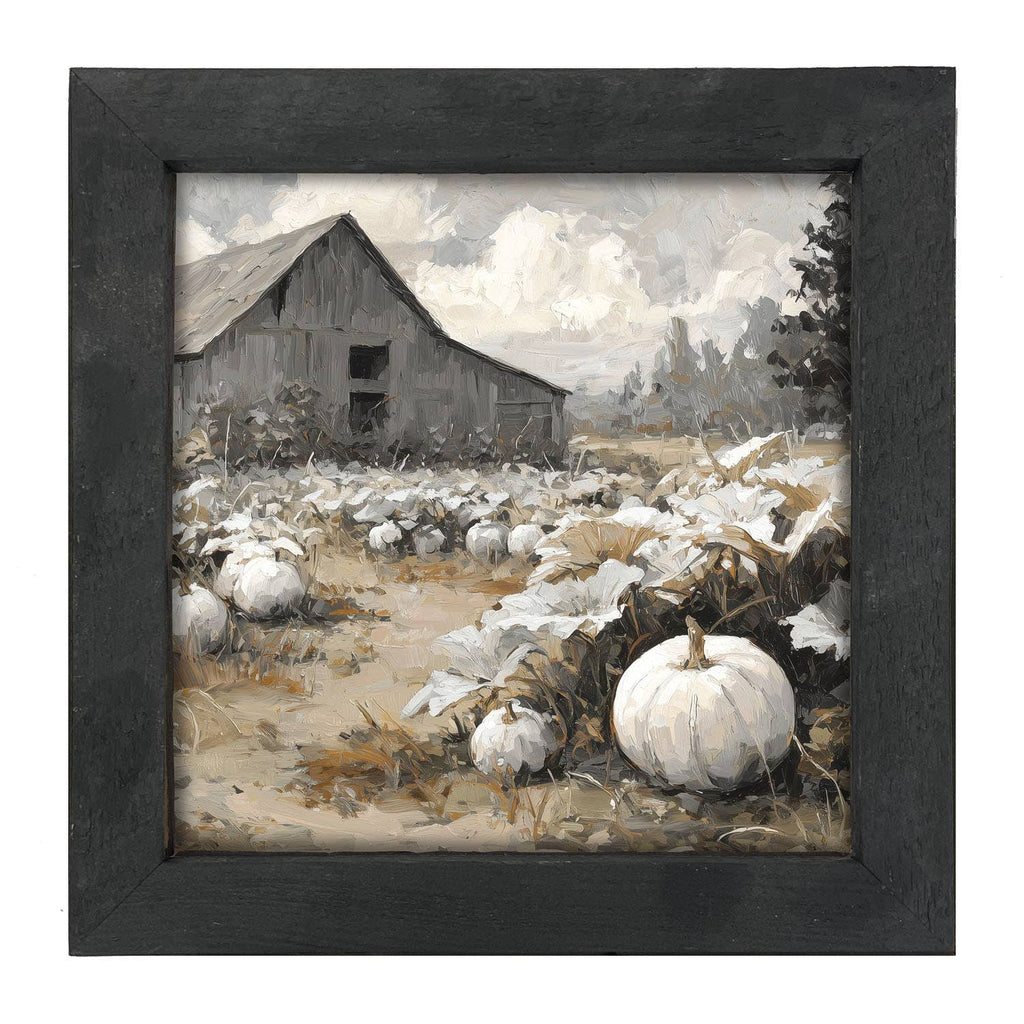 White Pumpkins in Field