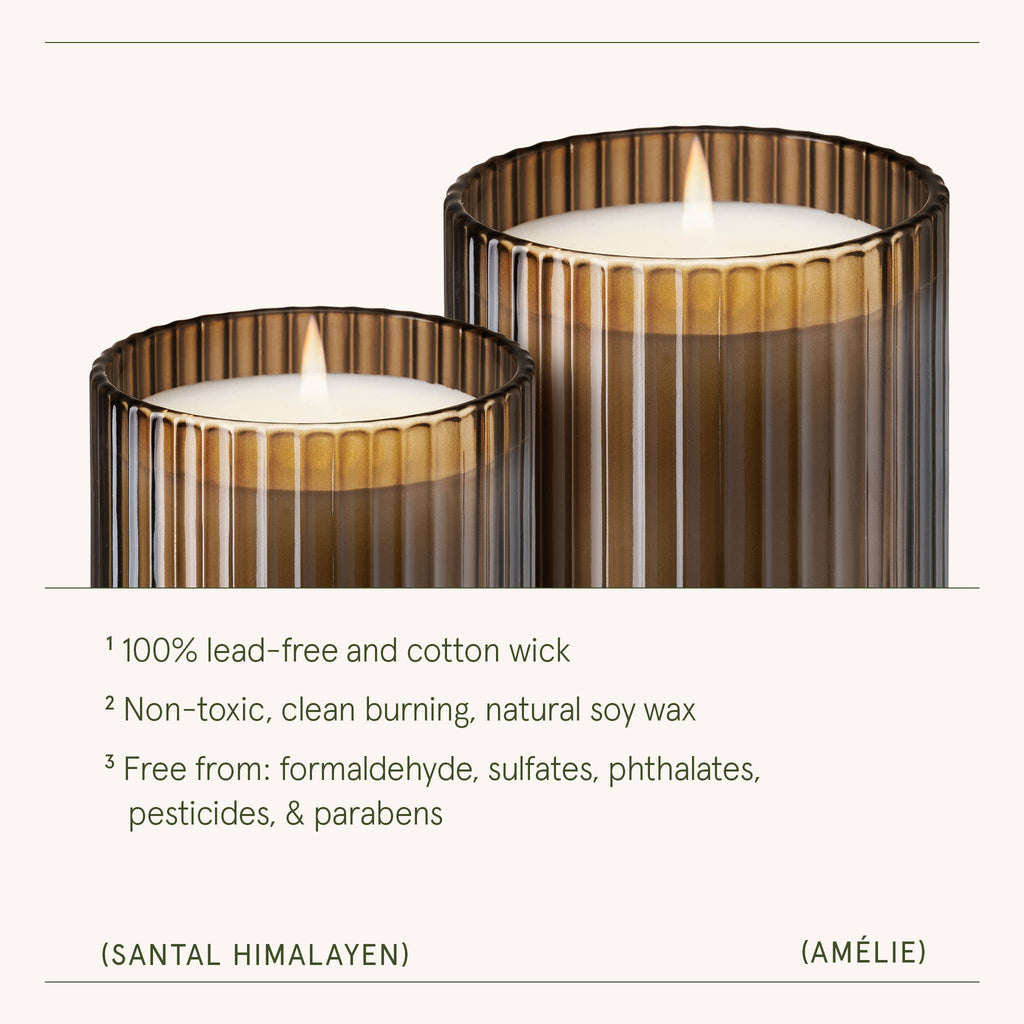 Santal Himalayen - 19oz