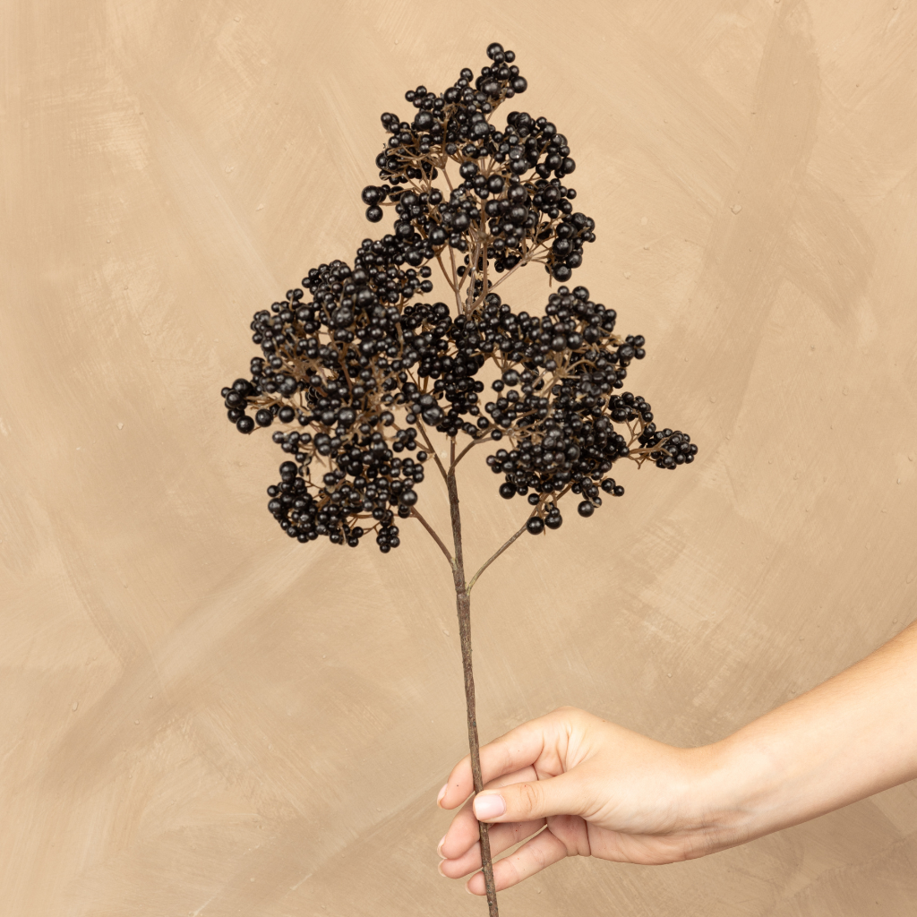 Elderberries Black Stem