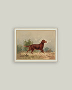 Standing Retriever Framed Antique Art