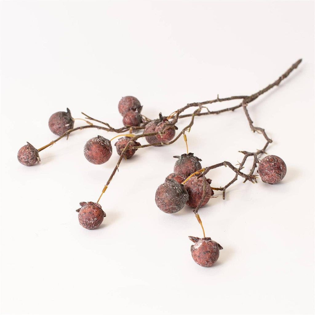 Chinaberry Burgundy