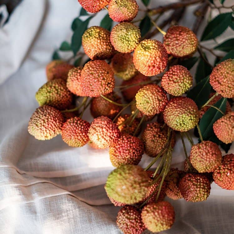 Fruit Lychee Stem 27"