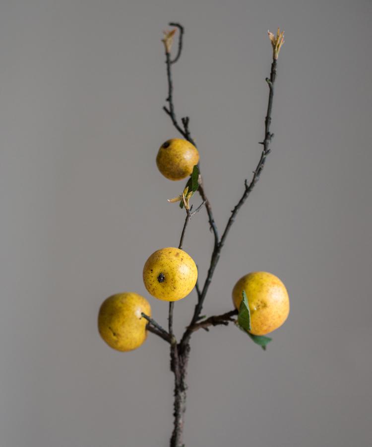 Yellow Apple Pear Stem 27"