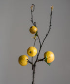 Yellow Apple Pear Stem 27"