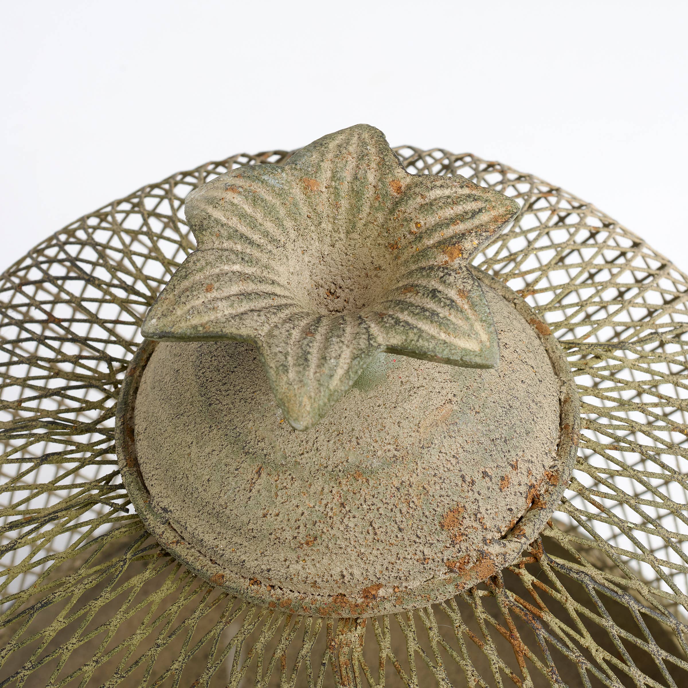 Garden Mesh Cloche Sm