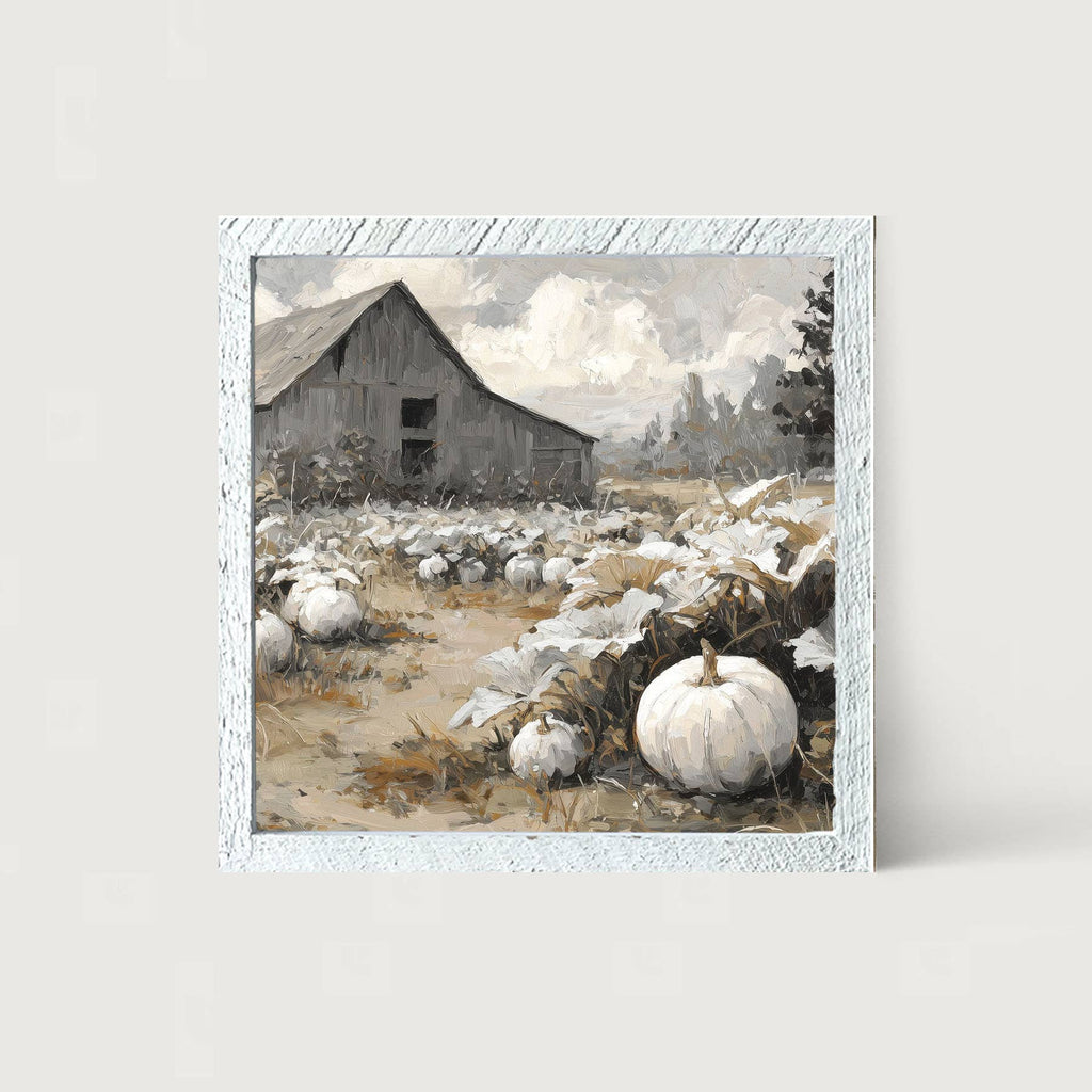 White Pumpkins in Field