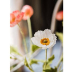 Silk Common Poppy Stem 22"