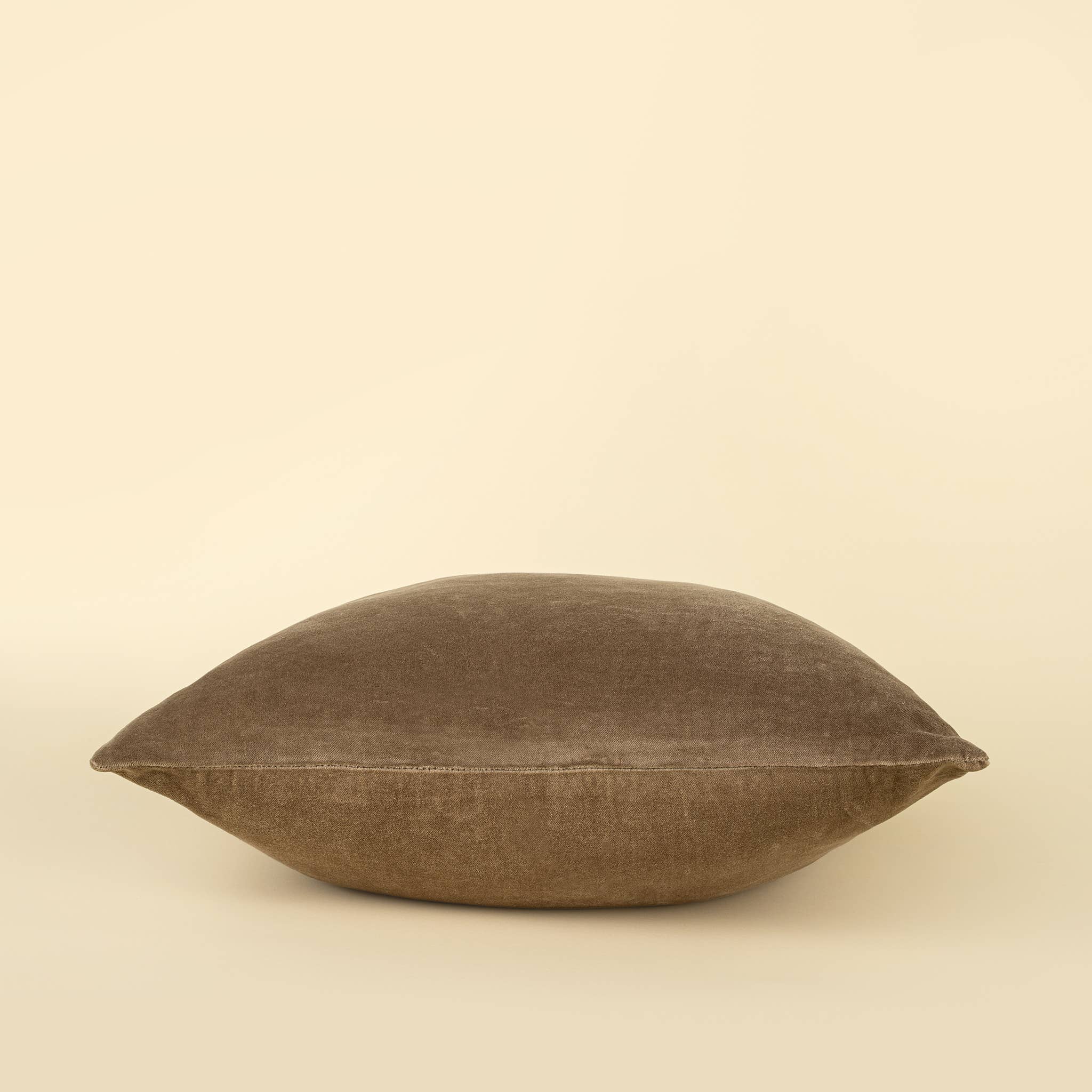 20x20 Vera Luxe Velvet Pillow, Birch