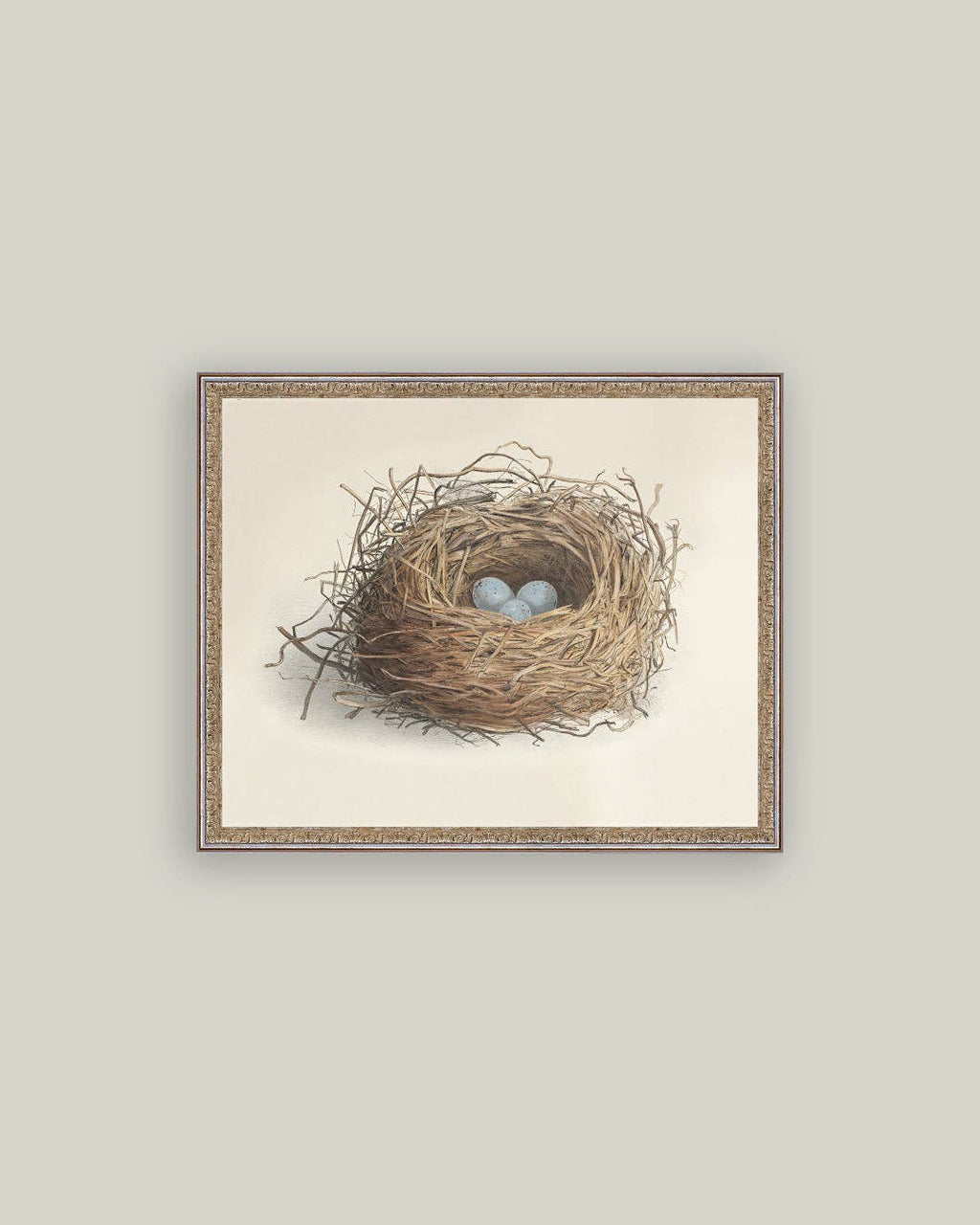 Blue Eggs in a Nest Framed Antique Art