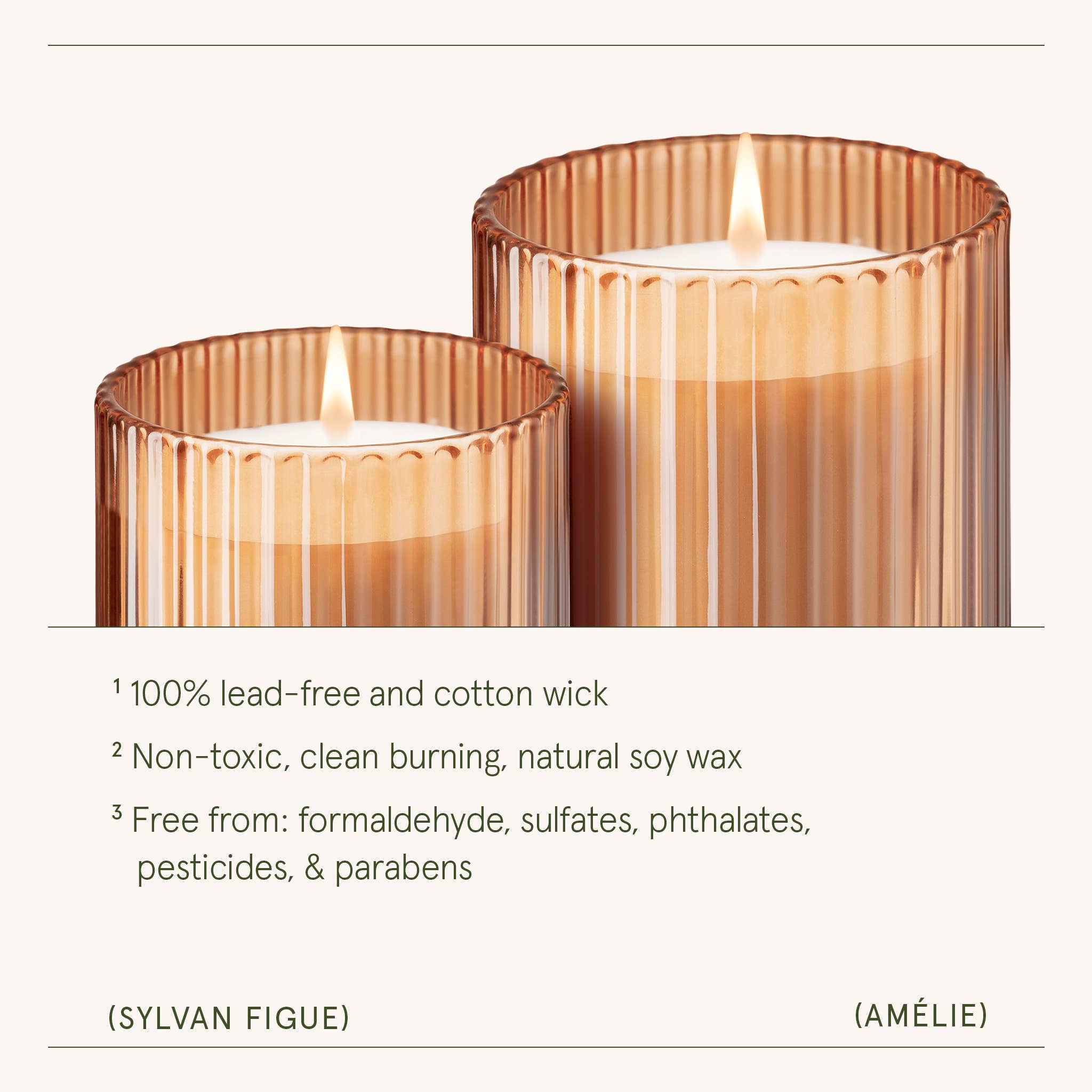 Sylvan Figue - 19oz