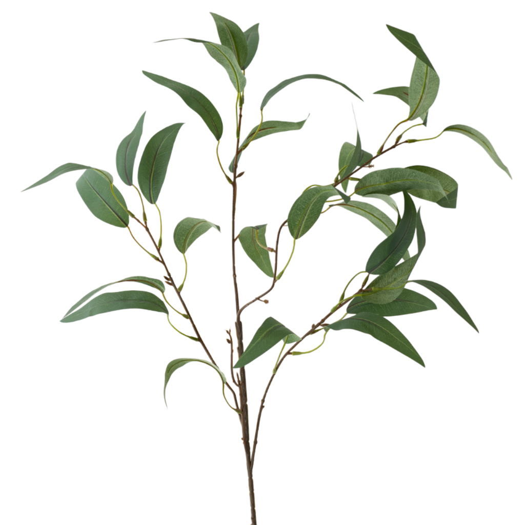 GR Eucalyptus 35"