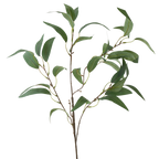 GR Eucalyptus 35"