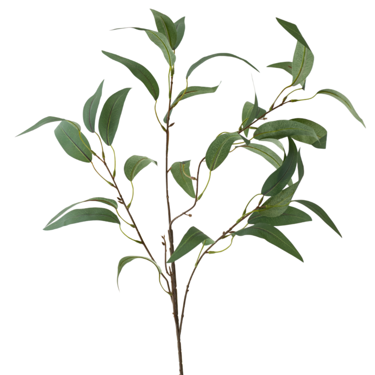 GR Eucalyptus 35"